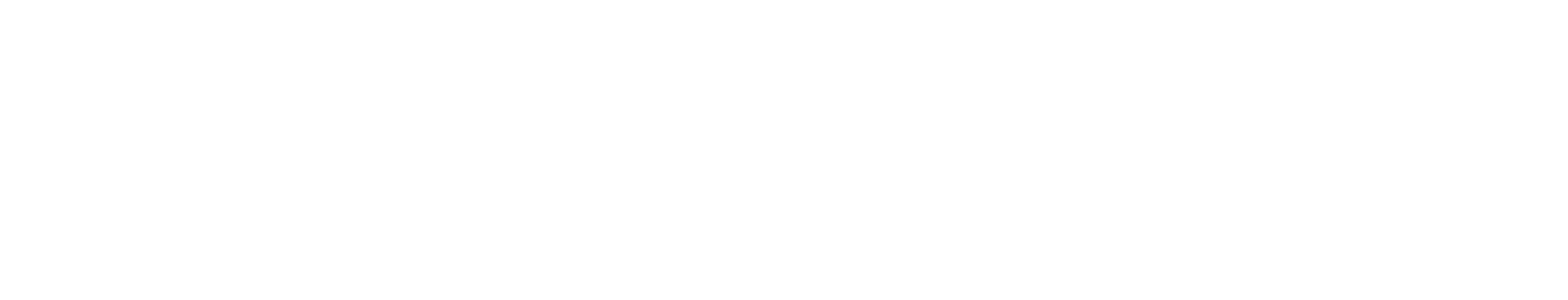 fluent commerce logo